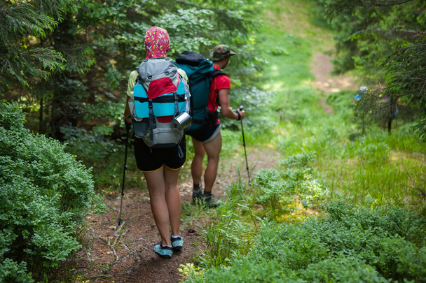 Young people are hiking in deep forest in summertime - Photo, image