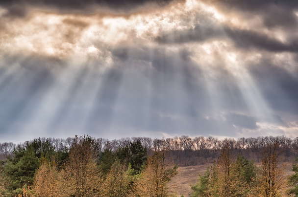 Rayos de sol en el cielo nublado en el parque de otoño
 - Foto, imagen