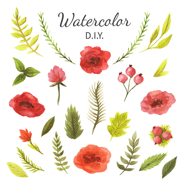 Watercolor flowers and leaves - Φωτογραφία, εικόνα