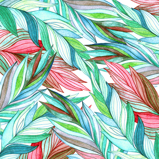 watercolor feathers background - Foto, afbeelding