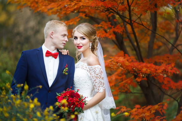Boldog pár, az őszi erdő - Fotó, kép