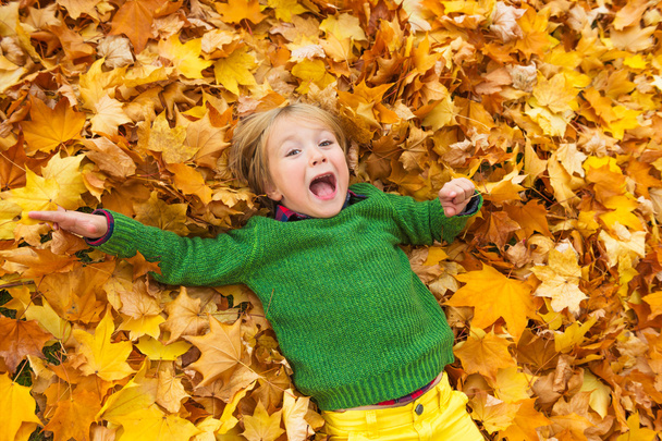 Autumn portrait of a cute little boy of 4 years old, playing with yellow leaves in the park, wearing green pullover - Photo, image