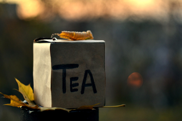 Paper tea chest outdoors - Photo, Image