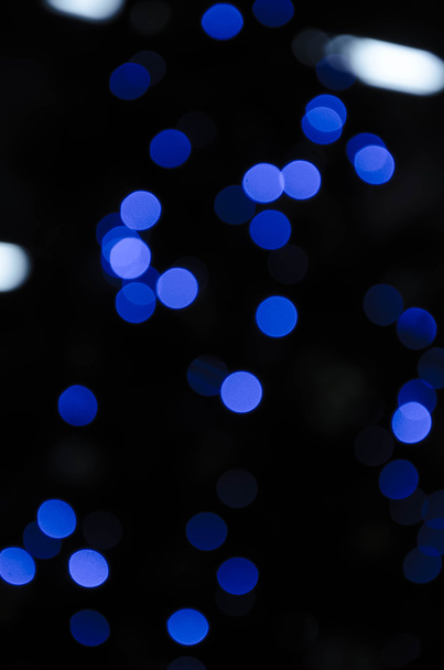 lamba Noel günü - Fotoğraf, Görsel