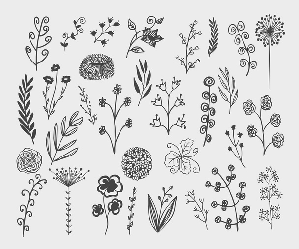 hand-drawn floral  decorative elements - Vector, Imagen
