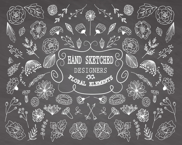 hand-drawn floral  decorative elements - Вектор,изображение