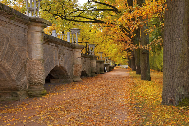 zlatý podzim v parku Catherine, Carskoje Selo - Fotografie, Obrázek