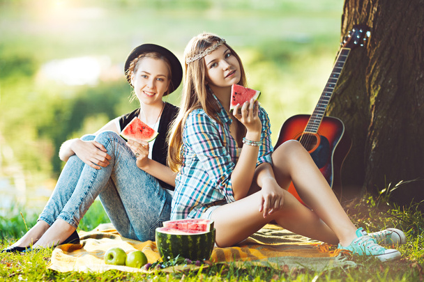 Picnic in the park - Photo, Image