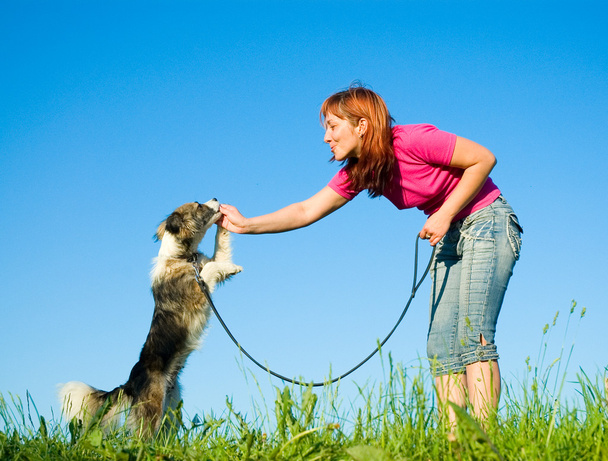 Woman with her dog on meadow - 写真・画像