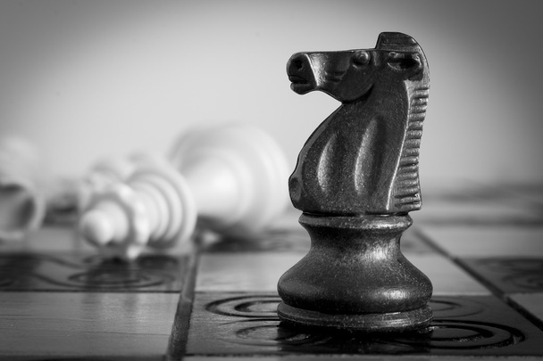 Photographed on a chess board - Photo, Image