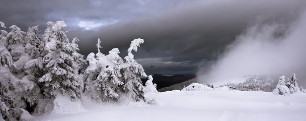 μυστικιστής αιθαλομίχλη και έλατα είναι στα βουνά Φεβρουαρίου - Φωτογραφία, εικόνα