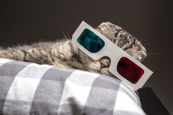grappige kat lettend op een film op de televisie in 3d bril - Foto, afbeelding
