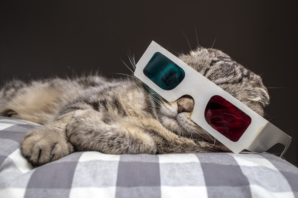 funny cat watching a movie on television in 3D glasses - Photo, Image