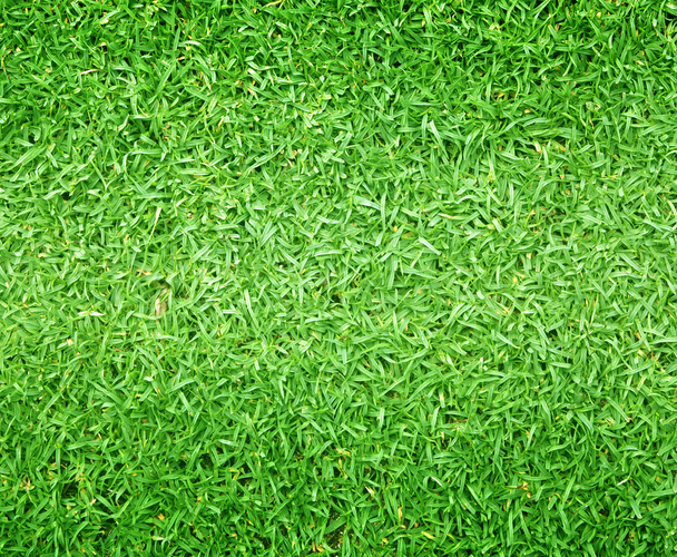 γήπεδα γκολφ, πράσινο γρασίδι - Φωτογραφία, εικόνα