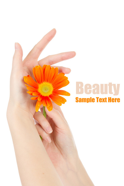 Beauty hands and flower - Foto, imagen