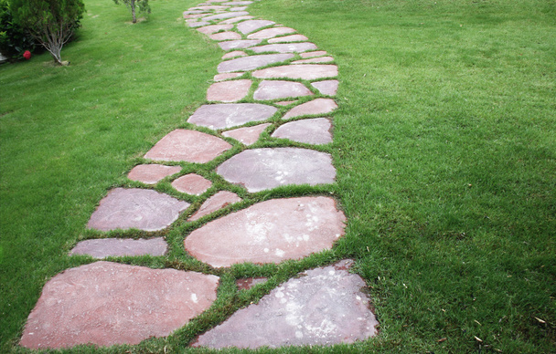 The path way in the garden - Photo, Image