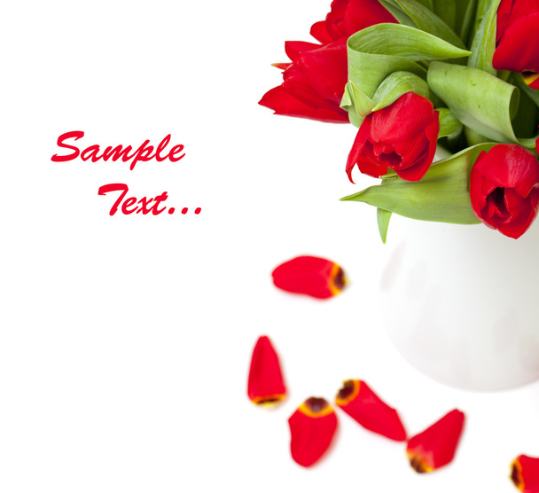 červené tulipány a vzorový text - Fotografie, Obrázek