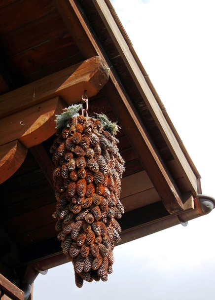 Door decorations from pine cones - Photo, Image