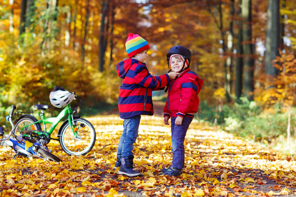 Dois garotos com bicicletas na floresta de outono
 - Foto, Imagem