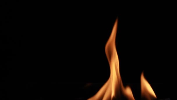 Gedetailleerde brand achtergrond - Video