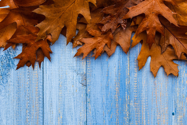 Vintage composition autumn fruit wooden background - Photo, Image