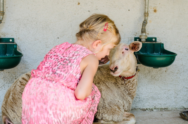 dívka s ovcí - Fotografie, Obrázek