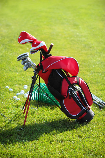 Clubs de golf dans un sac de golf, fond d'herbe verte
 - Photo, image