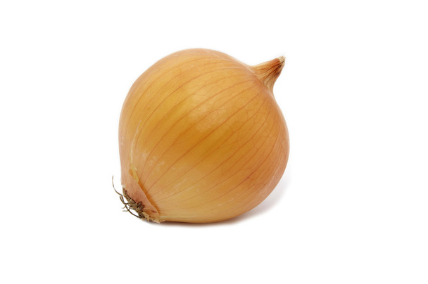 Onion - Photo, image