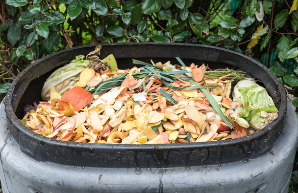 Compostaje de los residuos de cocina en un contenedor de compost de plástico
 - Foto, Imagen