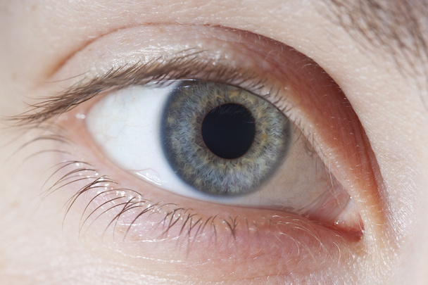 μπλε μάτι μακροεντολή - Φωτογραφία, εικόνα