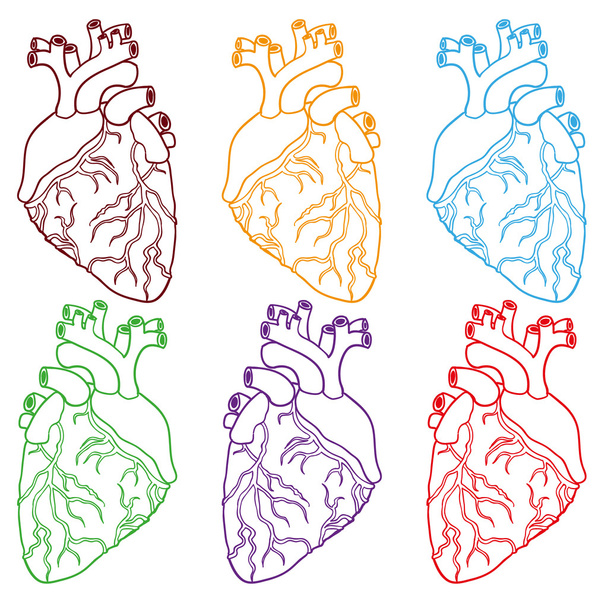Conjunto de corazones humanos. Ilustración vectorial
. - Vector, imagen