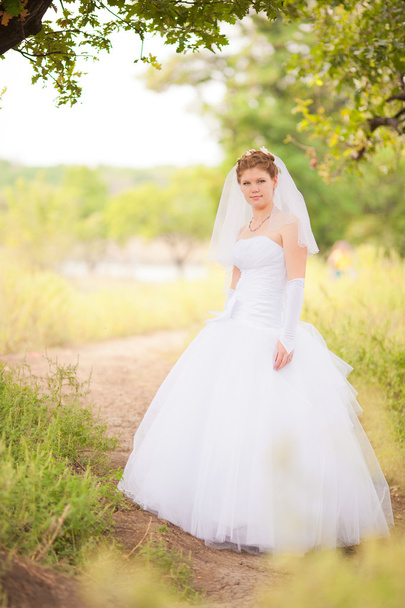 Beautiful bride on the nature - Foto, Bild