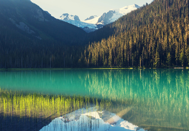 Beautiful Joffre lake - Photo, Image