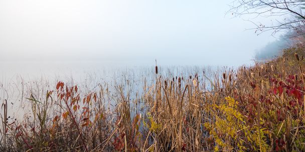 Early morning fog on a lake near Ottawa, Ontario. - Photo, Image