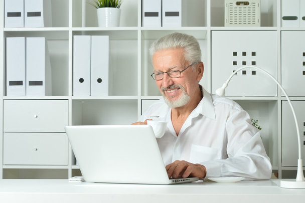 Mature businessman working with laptop - 写真・画像
