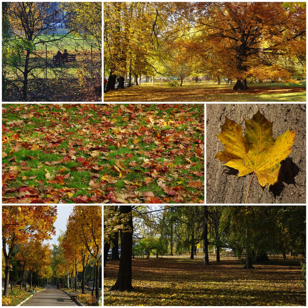 クラクフ - 写真のコラージュの秋 - 写真・画像