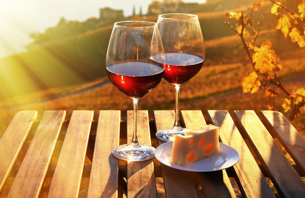 Víno a sýr proti Ženevské jezero - Fotografie, Obrázek