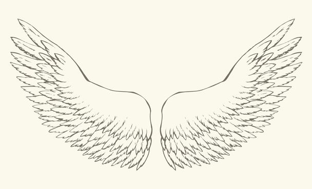 Outstretched wings. Vector drawing - Vector, Image