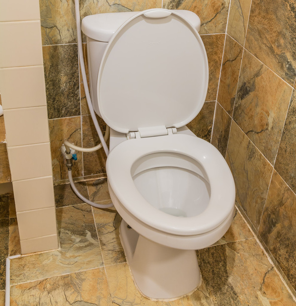 flush toilet at office - 写真・画像