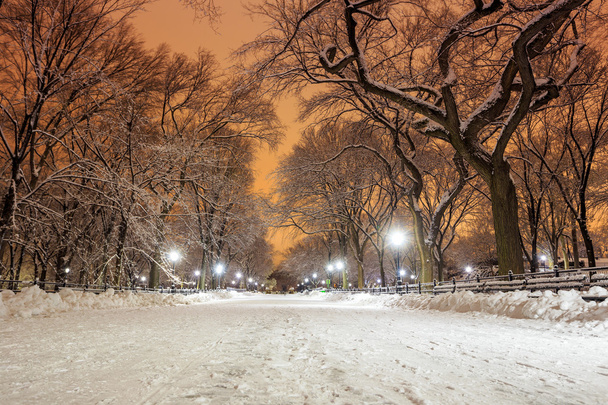 Σέντραλ Παρκ μετά το χιόνι Strom Linus - Φωτογραφία, εικόνα