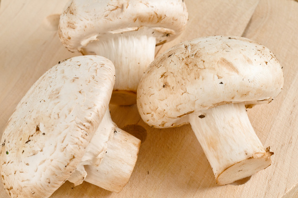 Ingrédients de cuisine, Champignon aux trois champignons frais
 - Photo, image