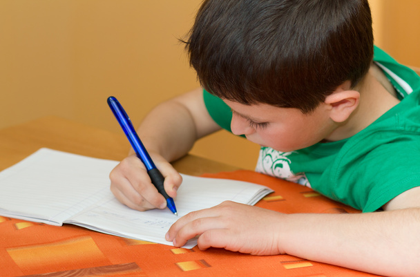Menino escrevendo lição de casa da escola no livro
 - Foto, Imagem