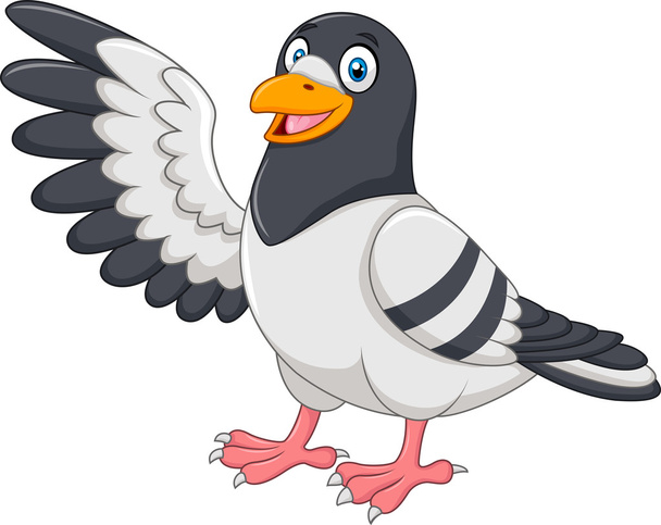 Pássaro pombo bonito apresentando isolado em fundo branco
 - Vetor, Imagem