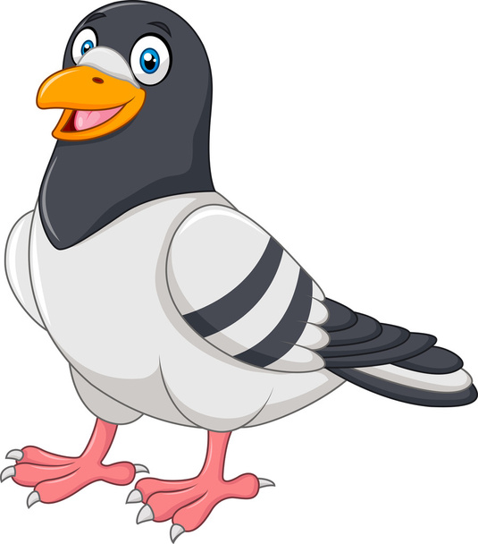 Karton legrační holub izolovaných na bílém pozadí - Vektor, obrázek