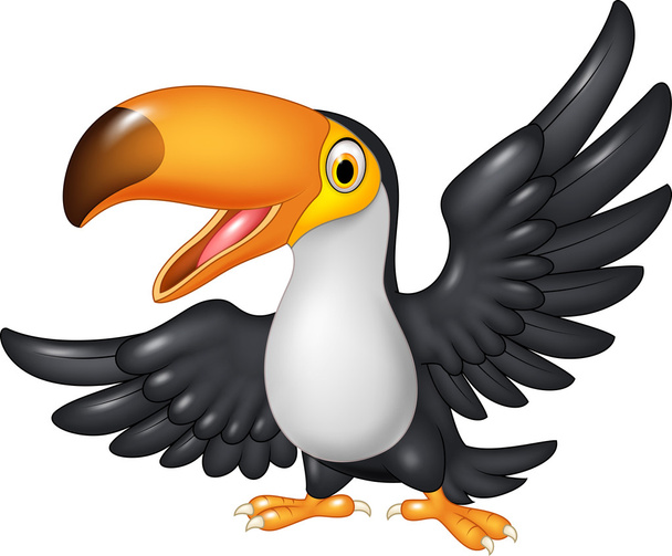 Cartone animato divertente toucan isolato su sfondo bianco - Vettoriali, immagini