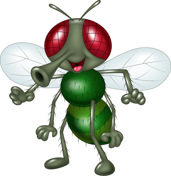 Dibujos animados mosca feliz aislado sobre fondo blanco
 - Vector, imagen