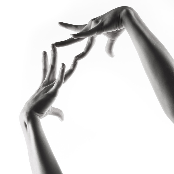 Balet üzerinde beyaz eller - Fotoğraf, Görsel