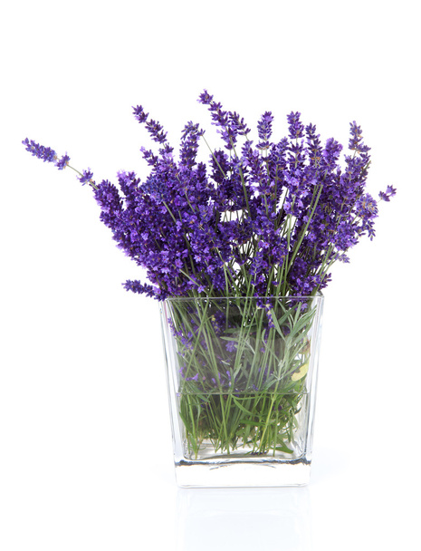 Bouquet of picked lavender flowers in vase - Fotó, kép