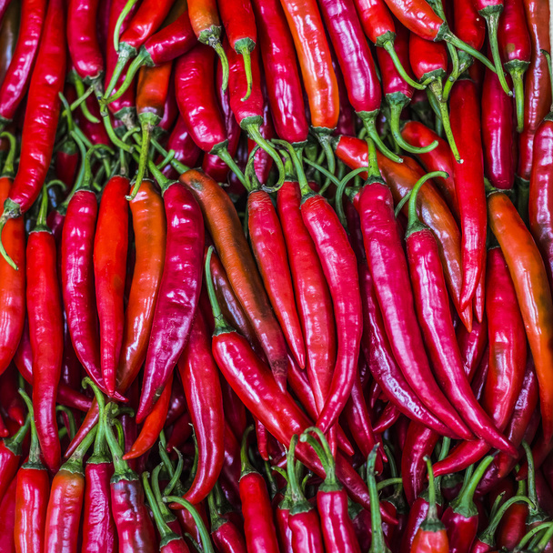 Pimentas vermelhas, vista de close-up
 - Foto, Imagem
