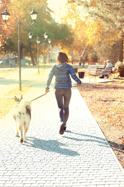 Happy young woman jogging with her dog in park - Фото, зображення